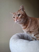 /album/26-02-20261/whatsapp-image-2026-02-26-at-17-59-53-2-jpeg/